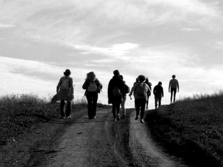 11140067_10203892460311172_115505193479983390_n