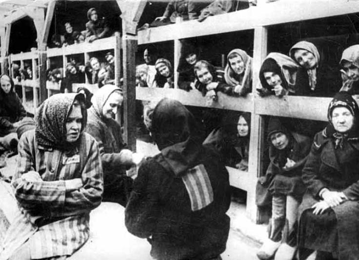 12507134_1662326304042120_7364970807379466781_n