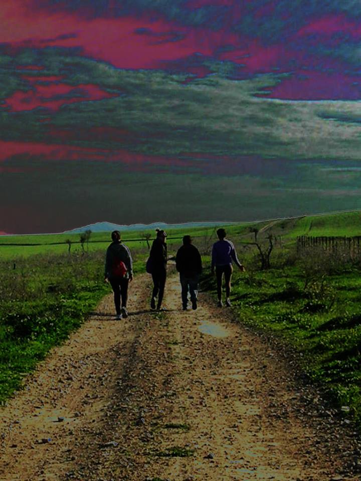 12553022_10203892458271121_4180466932347871042_n